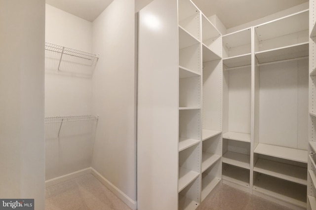view of spacious closet