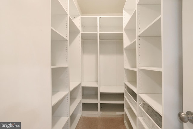 view of spacious closet