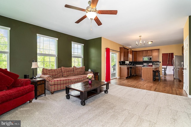 living room featuring a chandelier, dark carpet, a ceiling fan, and dark wood-style flooring