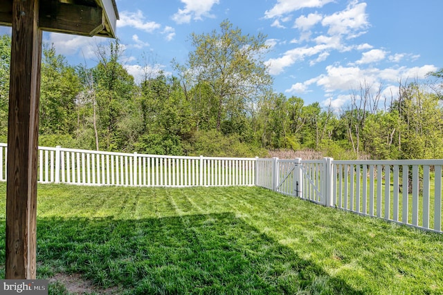 view of yard