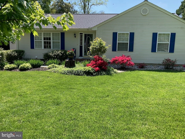 ranch-style house with a front yard and roof with shingles