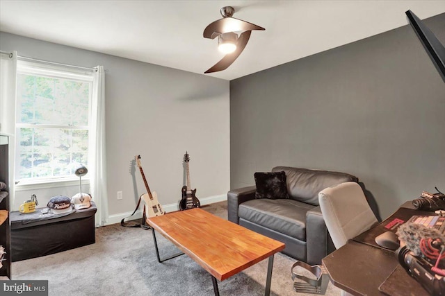 3202 Nash Rd, Reading, PA 19608 - view of carpeted living room