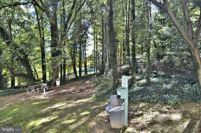 6300 Stevenson Ave Unit 523, Alexandria, VA 22304 - view of yard
