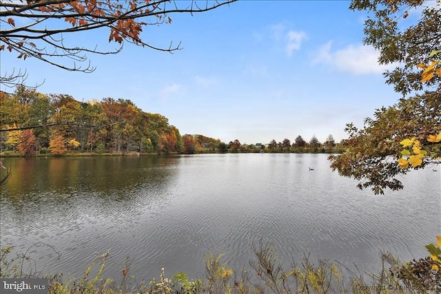 6300 Stevenson Ave Unit 523, Alexandria, VA 22304 - water view