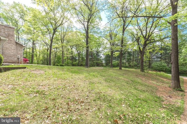 view of grassy yard