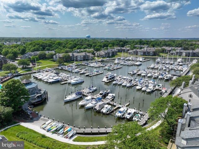2012 Quay Village Ct Unit 202, Annapolis, MD 21403 - drone / aerial view of numerous boat docks, a nearby body of water, and a tree filled landscape