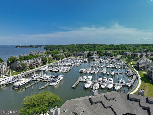 2012 Quay Village Ct Unit 202, Annapolis, MD 21403 - aerial view of numerous boat docks and a large body of water