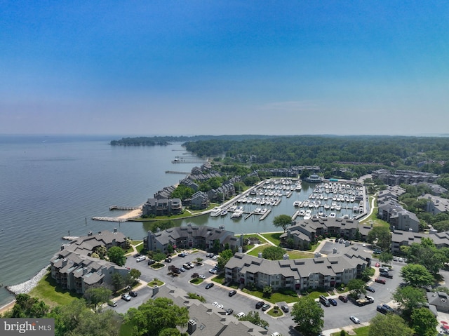 2012 Quay Village Ct Unit 202, Annapolis, MD 21403 - drone / aerial view of a nearby body of water and numerous boat docks