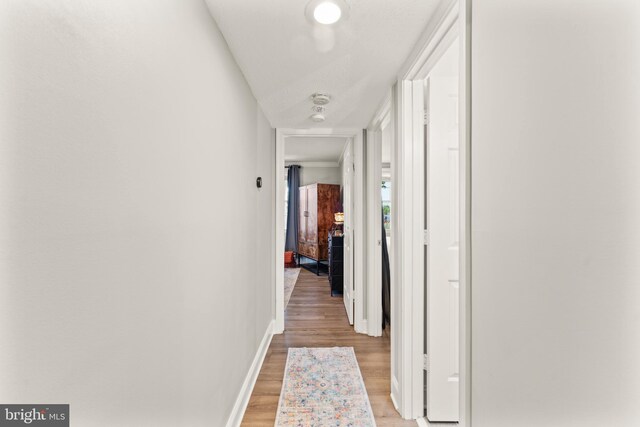 124 Fort Evans Rd SE Unit B, Leesburg, VA 20175 - corridor with light wood-type flooring and baseboards