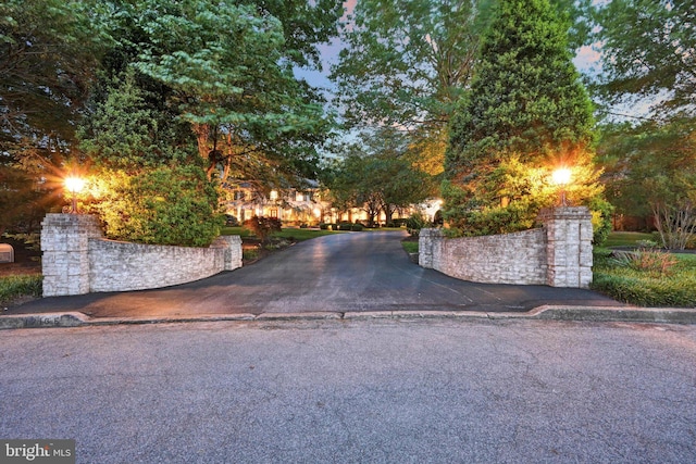 1716 Olmsted Way E, Camp Hill, PA 17011 - view of asphalt road