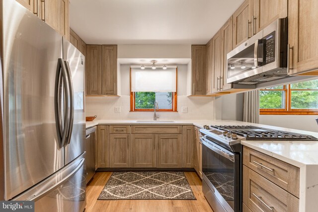 1051 Taylor St, State College, PA 16803 - kitchen with appliances with stainless steel finishes, light wood-style flooring, a sink, and healthy amount of natural light