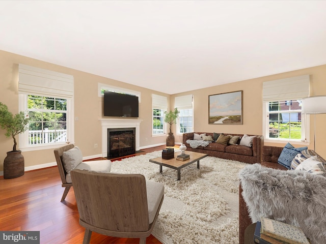 15 Wagon Shed Ln, Middletown, MD 21769 - living room with wood finished floors, plenty of natural light, and a fireplace with flush hearth