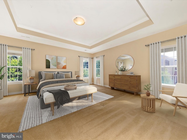 15 Wagon Shed Ln, Middletown, MD 21769 - carpeted bedroom featuring a raised ceiling, multiple windows, and crown molding