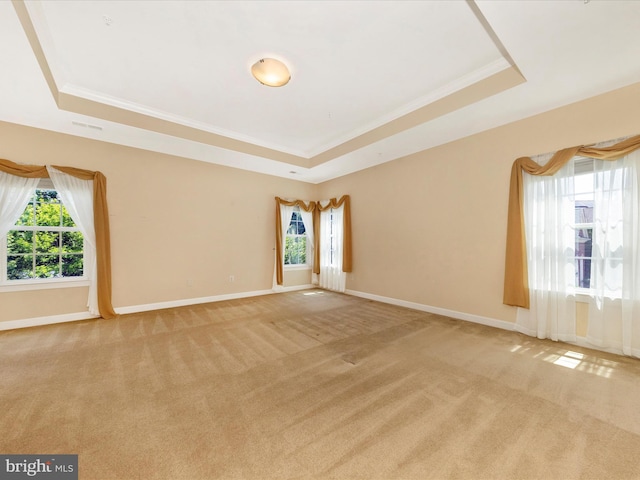15 Wagon Shed Ln, Middletown, MD 21769 - empty room featuring a tray ceiling, plenty of natural light, light carpet, baseboards, and ornamental molding