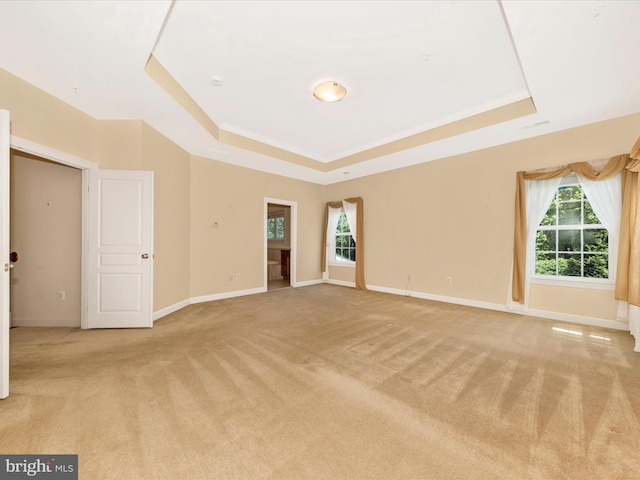 15 Wagon Shed Ln, Middletown, MD 21769 - spare room with a raised ceiling, light colored carpet, and baseboards