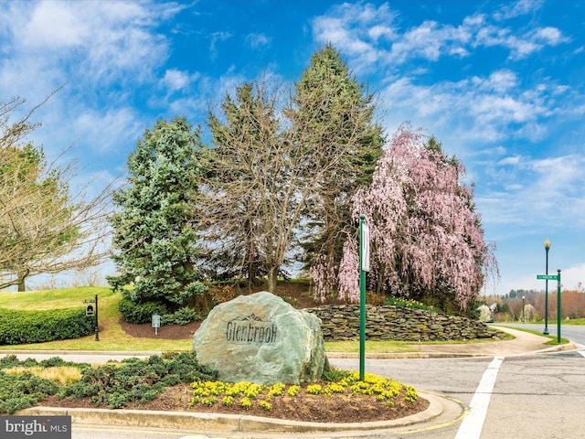 15 Wagon Shed Ln, Middletown, MD 21769 - view of surrounding community