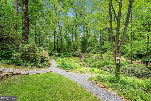512 Worthington Rd, Chester Springs, PA 19425 - view of yard with a view of trees