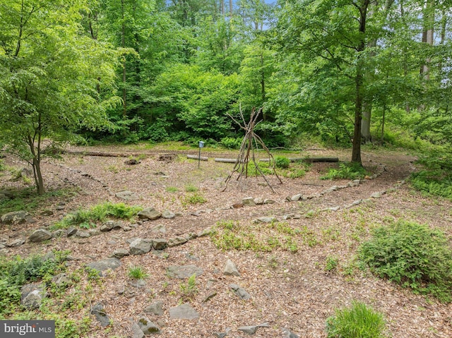 512 Worthington Rd, Chester Springs, PA 19425 - view of wooded area