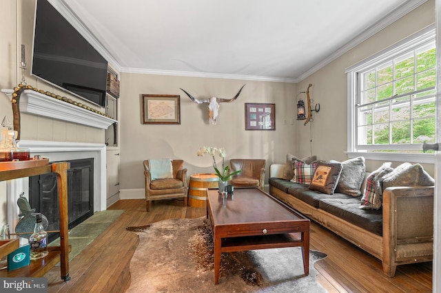 512 Worthington Rd, Chester Springs, PA 19425 - living room featuring a fireplace with flush hearth, hardwood / wood-style flooring, ornamental molding, and baseboards