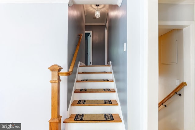 1128 Coventry Rd, Cheltenham, PA 19012 - staircase with ornamental molding