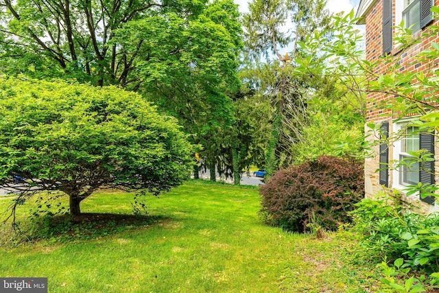1128 Coventry Rd, Cheltenham, PA 19012 - view of green lawn