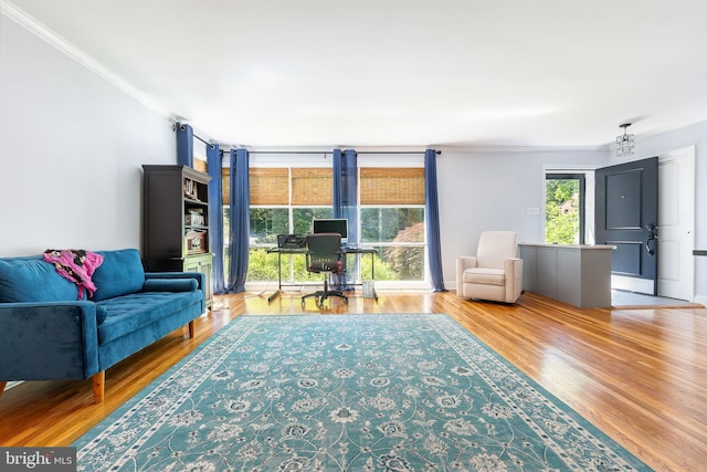 1128 Coventry Rd, Cheltenham, PA 19012 - office space with ornamental molding and wood finished floors