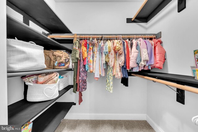 14745 Jennifer Ct, Issue, MD 20645 - walk in closet featuring carpet floors