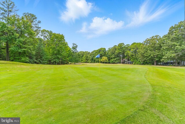14745 Jennifer Ct, Issue, MD 20645 - view of community with golf course view, view of wooded area, and a lawn