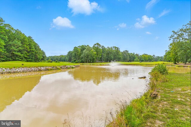 14745 Jennifer Ct, Issue, MD 20645 - water view with a heavily wooded area