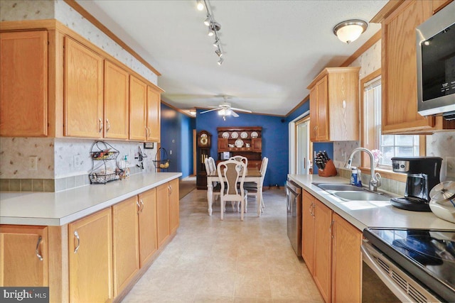 6194 Milo School Rd, Great Cacapon, WV 25422 - kitchen featuring appliances with stainless steel finishes, ceiling fan, a sink, and light countertops