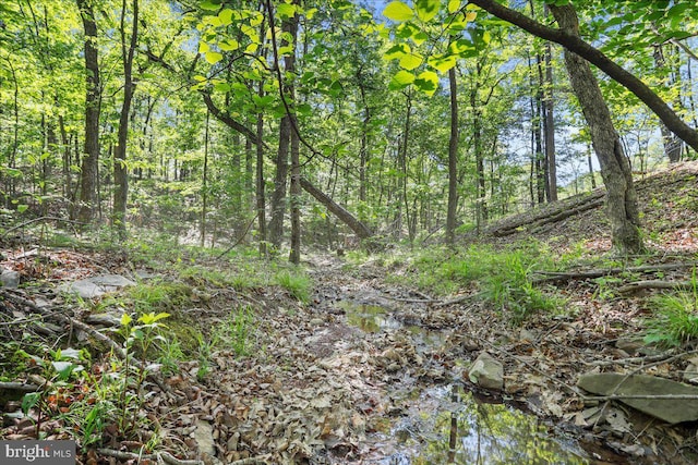 6194 Milo School Rd, Great Cacapon, WV 25422 - view of undeveloped land