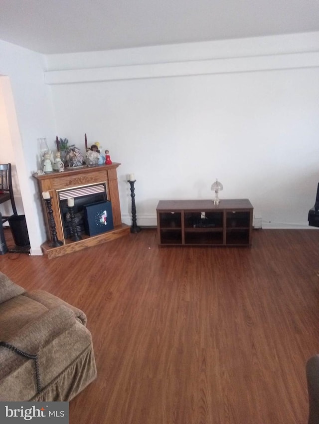 living area with wood finished floors and a fireplace with raised hearth