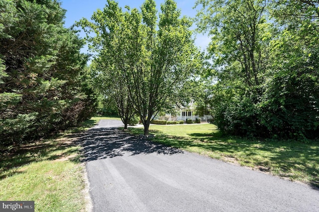 661 Germany Rd, Stephens City, VA 22655 - view of asphalt road