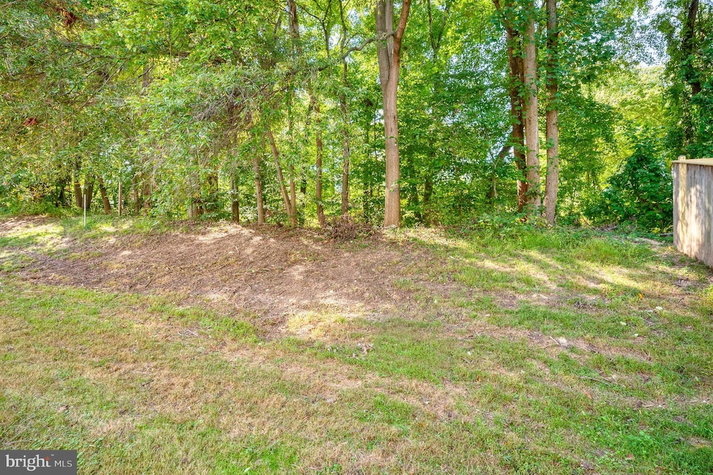 4205 Goodson Ct, Belcamp, MD 21017 - view of yard