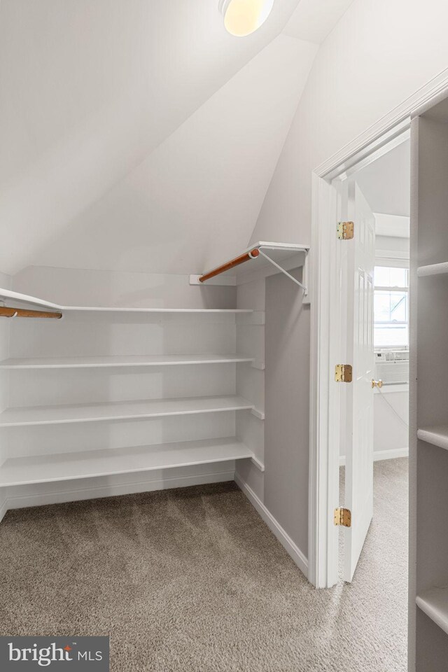600 Grace St, Herndon, VA 20170 - spacious closet with carpet flooring and lofted ceiling