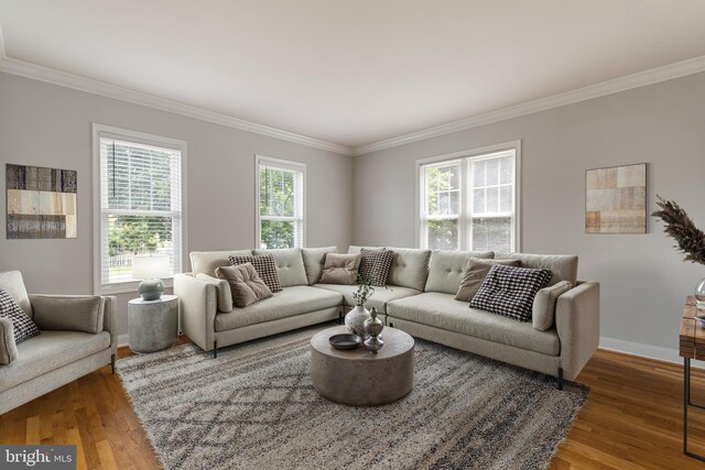 600 Grace St, Herndon, VA 20170 - living room featuring crown molding, wood finished floors, and baseboards