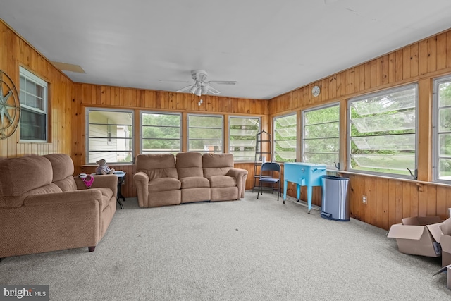 sunroom with wooden walls and carpet flooring
