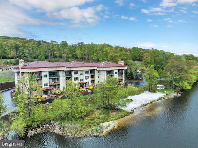 320 Hummingbird Way Unit 302, Lake Harmony, PA 18624 - back of property featuring a chimney, a water view, and a view of trees