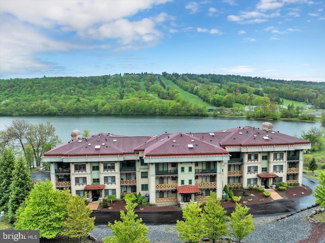 320 Hummingbird Way Unit 302, Lake Harmony, PA 18624 - water view with a heavily wooded area