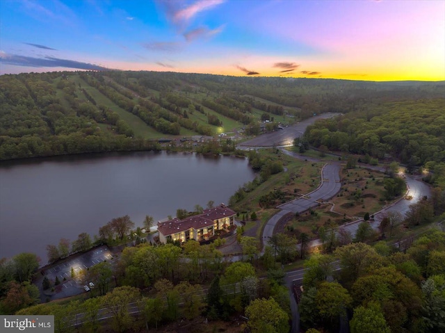 320 Hummingbird Way Unit 302, Lake Harmony, PA 18624 - aerial view at dusk of a view of trees and a water view