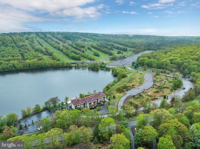 320 Hummingbird Way Unit 302, Lake Harmony, PA 18624 - aerial overview of property's location featuring a heavily wooded area and a nearby body of water