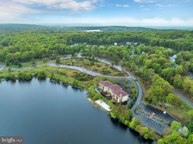 320 Hummingbird Way Unit 302, Lake Harmony, PA 18624 - aerial view of property's location with a forest and a nearby body of water