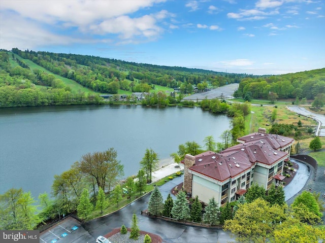 320 Hummingbird Way Unit 302, Lake Harmony, PA 18624 - bird's eye view of a large body of water and a forest
