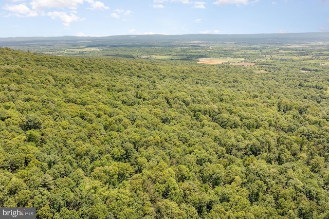 Grahams Woods Rd, Newville, PA 17241