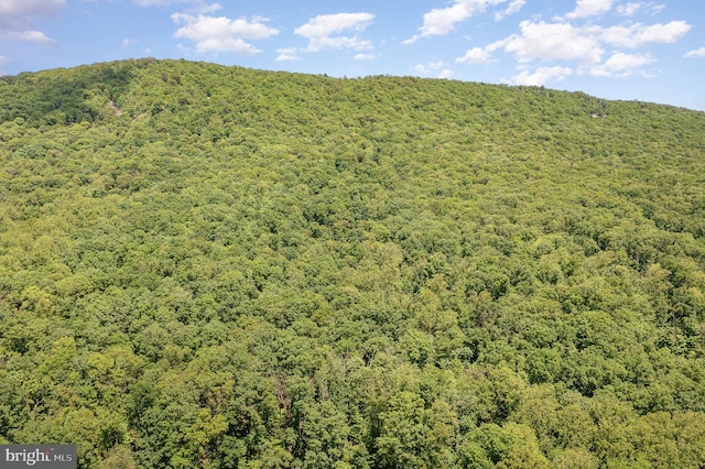 Grahams Woods Rd, Newville, PA 17241
