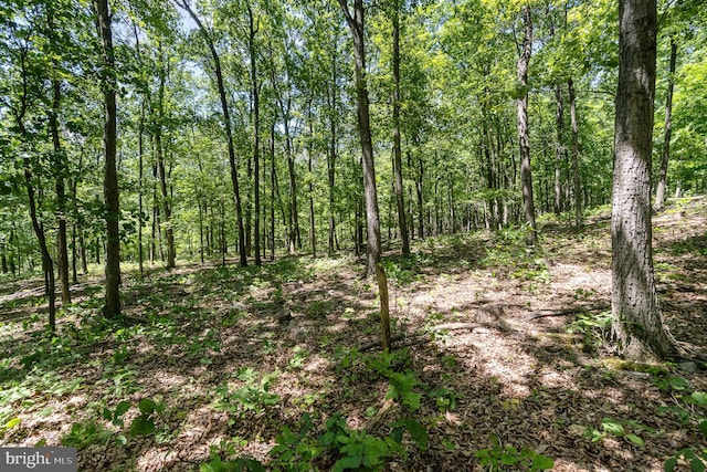 Grahams Woods Rd, Newville, PA 17241