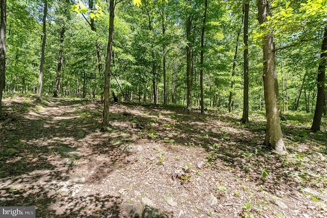 Grahams Woods Rd, Newville, PA 17241