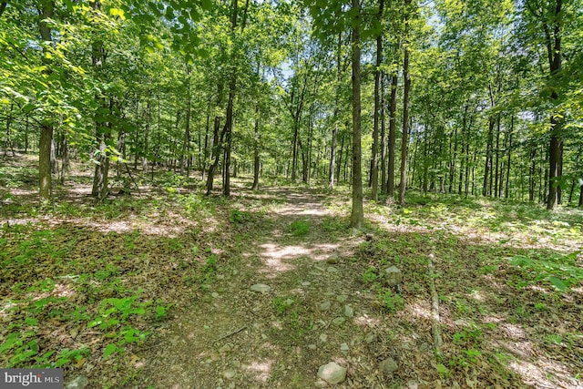 Grahams Woods Rd, Newville, PA 17241