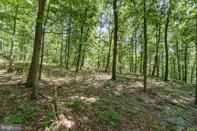 Grahams Woods Rd, Newville, PA 17241