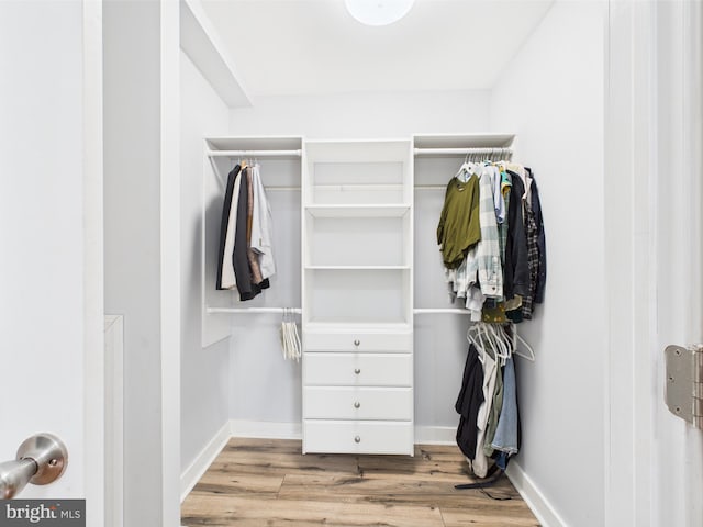 spacious closet with wood finished floors